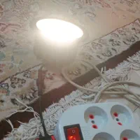 فروش هالوژن سقفی و نما افتابی