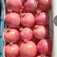 انار درجه یک کاشمر کیلو ۱۰۰تومان