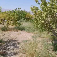 فروش باغ درجلفا روستای سیلگرد|فروش خانه و ویلا|جلفا, |دیوار