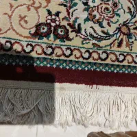 قالیچه های 1.5 و 2 متری|فرش|شیراز, قدوسی غربی|دیوار