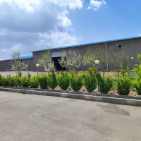 خانواده برای دامداری