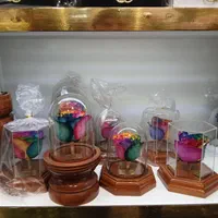 گل رز جاودان|گل و گیاه طبیعی|قم, باجک یک|دیوار