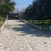 4000متر-باغ-ویلا-سند-تک-برگ-دو-کله