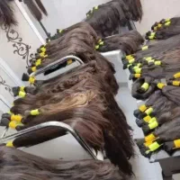 خریدار موی طبیعی خرید و فروش موی طبیعی بدون واسطه