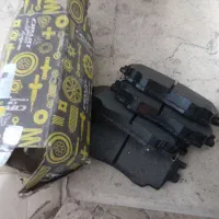 لنت جلو نو مخصوص شاهین