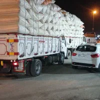 کاه گندم|لوازم جانبی حیوانات|اصفهان, بوستان آینه خانه|دیوار