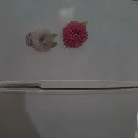 یخچال جنرال