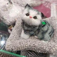 عروسگ گربه