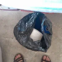 مایه قالی|فرش|شهرکرد, |دیوار