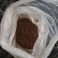 غذای ماهی|ماهی|تهران, پرواز|دیوار