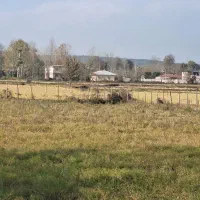 خونه باغ ۱۵۵۰متری|فروش خانه و ویلا|رشت, دیلمان|دیوار