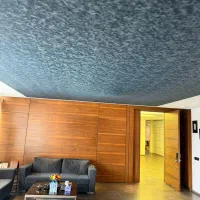 استخدام نظافت چی خانم