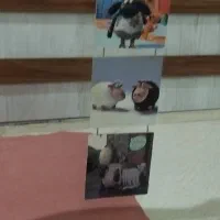 استوک ورزشی|تجهیزات ورزشی|شاهدشهر, |دیوار