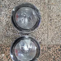 یک جفت باند آلپاین اصلی