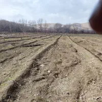 فروش-زمین-کشاورزی-همراه-خانه-و-برق-و-آب-چاه