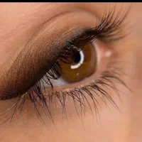 تخفیف ویژه میکروبلیدو شید چشم  درفرمانیه|خدمات آرایشگری و زیبایی|تهران, فرمانیه|دیوار