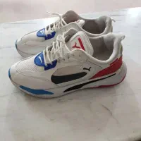 کتانی اسپورت(معاوضه با جوجه خروس لاری)|کیف، کفش، کمربند|بجنورد, |دیوار