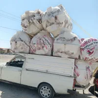 آهن آلات جواد آب باریکی در سلطان آباد|مصالح و تجهیزات ساختمان|خوشاب, |دیوار