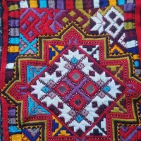 زیاستین بچه گانه