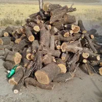 زغال کبابی|عمدهفروشی|ملایر, |دیوار