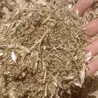 خرید فروش کاه لوبیا