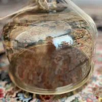 ظرف سرو کیک