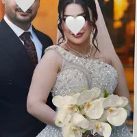 میکس مدیا تابلو عروس