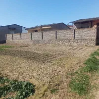 فروش زمین مسکونی ۳۱۰ متری در روستای چهارده|فروش زمین و ملک کلنگی|کردکوی, |دیوار