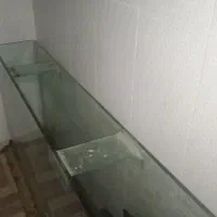 آکوریوم|ماهی|دزفول, |دیوار