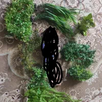 شن عربی گیاه مصنوعی آکواریوم|ماهی|شاهین‌شهر, عطار|دیوار
