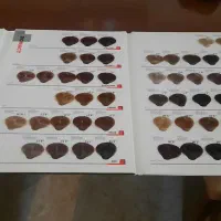 کاتالوگ و آلبوم کامل رنگ مو دوماسی|آرایشی، بهداشتی، درمانی|تهران, دهکده المپیک|دیوار
