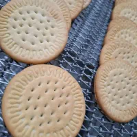 درخواست گرفتن نمایندگی کارگاره شیرینی