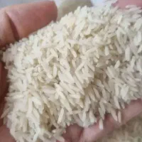 طارم گرگان|خوردنی و آشامیدنی|قم, آذر (نکویی)|دیوار