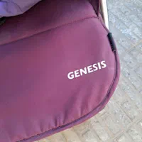 کالسکه|کالسکه و لوازم جانبی|شاهینشهر, عطار|دیوار