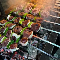 منقل کار حرفه ای جگرکی کارگر ساده