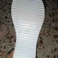 کفش مجلسی|کیف، کفش، کمربند|گنبد کاووس, |دیوار