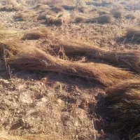 جارو درجه یک پر آب