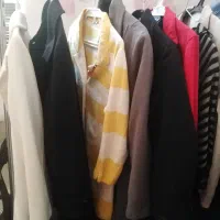 تعدادی پالتوزنانه