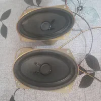 باندکوچک رودری