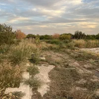 ۵۰۰متر باغ ۷ساله