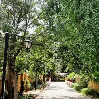 فروش باغ  کنار جوب بلد باغستان علیا