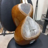 تار حرفه ای چهارگل