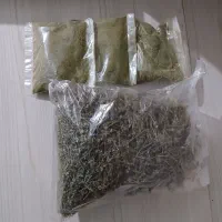 زنجان اویشن کوهی