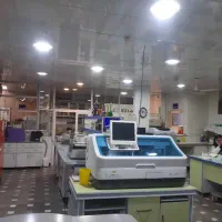 ویلایی ۵۲۵ متری|فروش خانه و ویلا|قرچک, دانشگاه پیام نور قرچک|دیوار