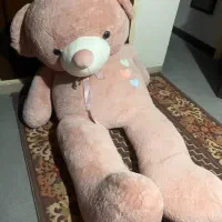 عروسک|اسباب‌‌بازی|شیراز, ستارخان|دیوار