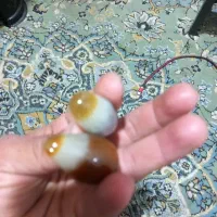 مهره برد اصل|بدلیجات|یاسوج, |دیوار