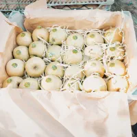 کارگر سیب
