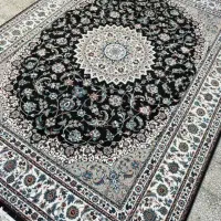 گالری فرش نگین|فرش|ایلام, |دیوار