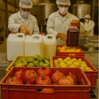 آب زرشک کارگاه تولیدی آب انار ذغال اخته آلو جنگلی|خوردنی و آشامیدنی|تهران, اکباتان|دیوار