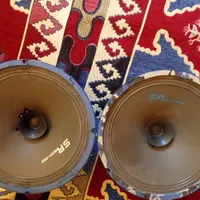 یک جفت میدرنج۱۰
